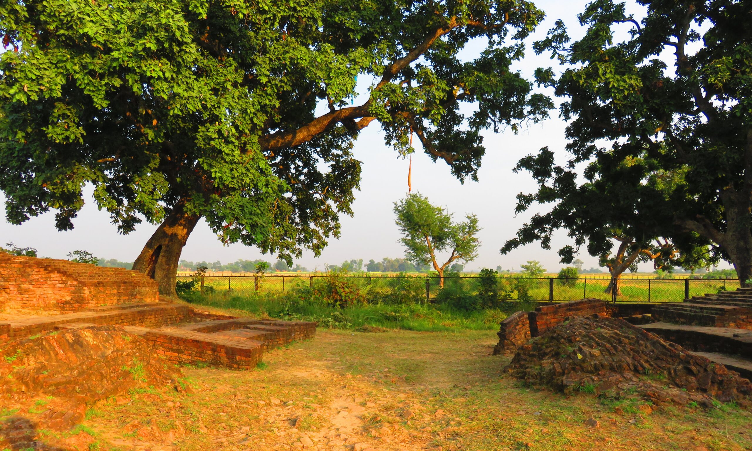 तिलौराकोटलाई विश्व सम्पदा सूचीमा सूचीकृतका लागि मनोनयन दस्तावेज पेस गरिने