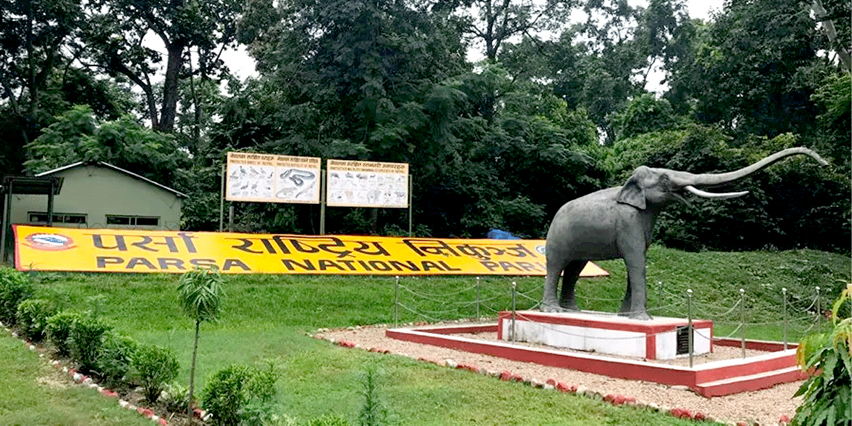 रैथाने हात्तीको प्रमुख बासस्थान ‘पर्सा राष्ट्रिय निकुञ्ज’ मा आन्तरिक तथा बाह्य पर्यटक आगमनमा वृद्धि