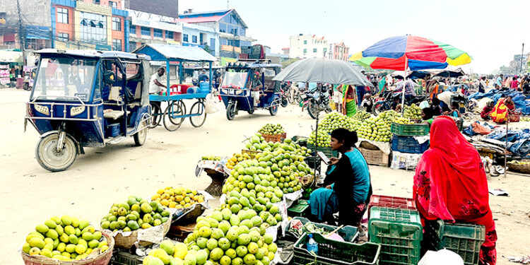 व्यवस्थित बजार नहुँदा सिरहाको सडकमै आँप किनबेच