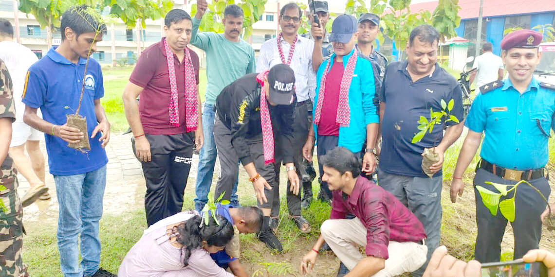 ग्रिनसिटीद्वारा वृक्षारोपण कार्यक्रम सम्पन्न