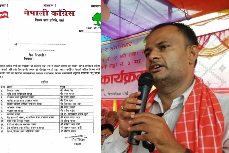 नेपाली कांग्रस पर्साकाे विकाश शाखा प्रमुखमा युवा नेता सिंह