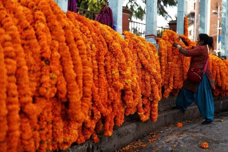 दसैँ, तिहार र छठमा पाँच करोडको फूल किनबेच