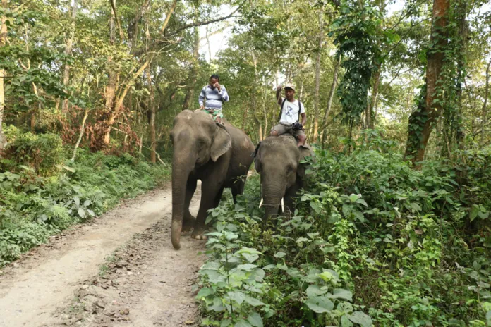 सौराहामा ११ पुसदेखि हात्ती तथा पर्यटन महोत्सव