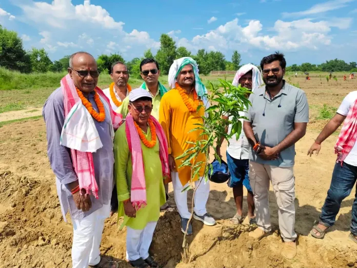 जगरनाथपुरमा ८ बिघा जग्गामा वृक्षारोपण