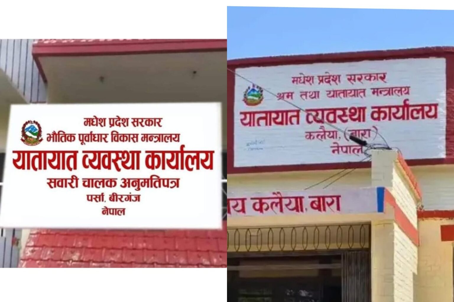 वीरगंज र कलैयाका यातायात कार्यालयमा फर्जी लाइसेन्स खेल फेरि सक्रिय? सेवाग्राहीको गम्भीर आरोप